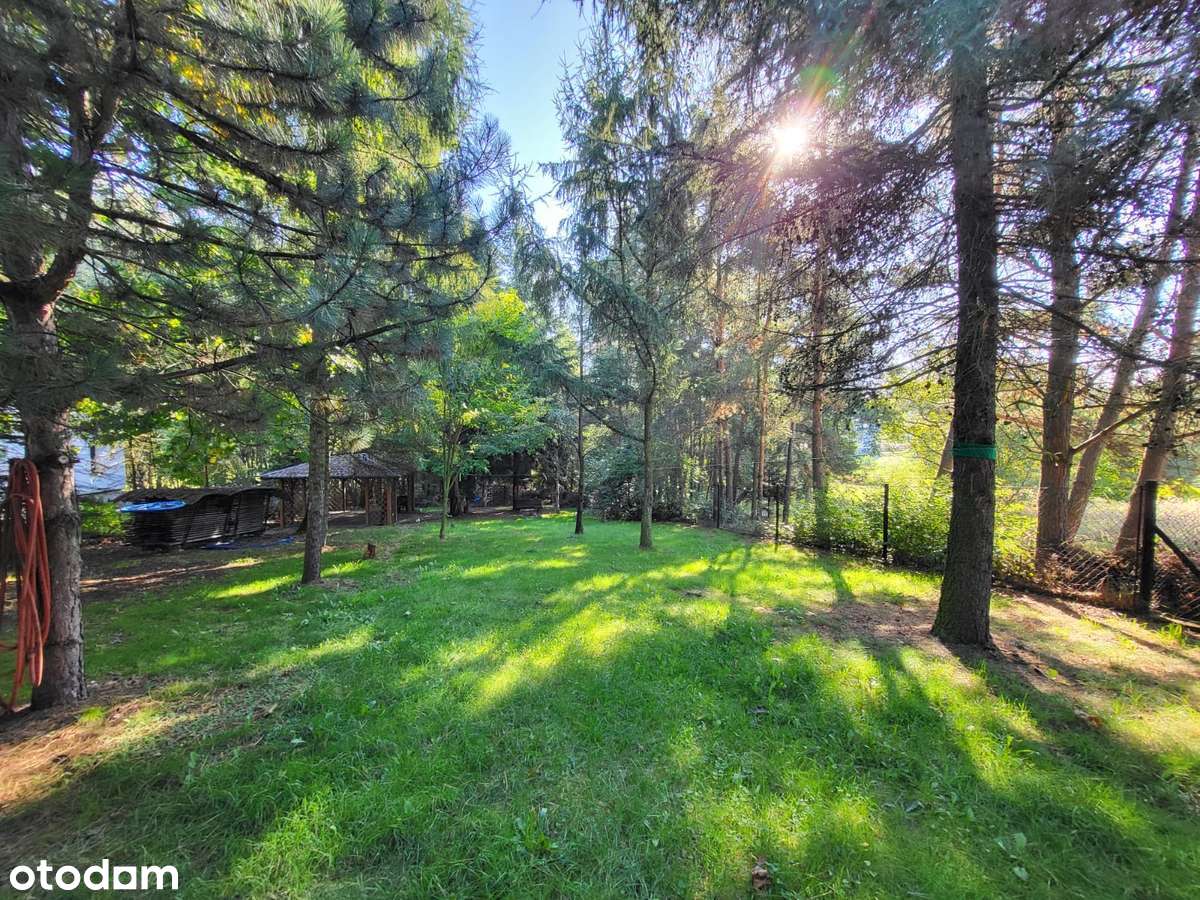 Wyjątkowy, elegancki dom dla miłośników natury-14