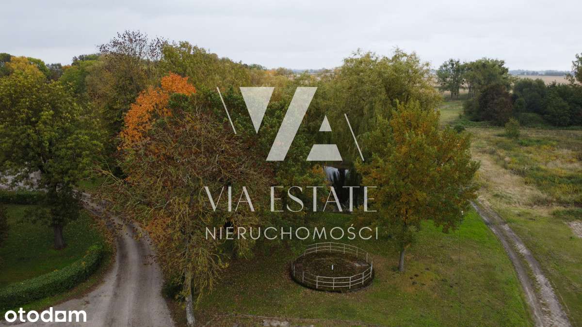 Pałac eklektyczny,zabytkowy park,stawy, do remontu-10