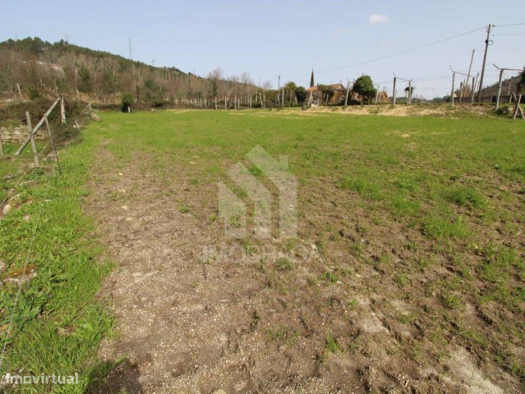 Venda Terreno com possibilidade de Lotear, em S. Mamede (Este), Braga-39