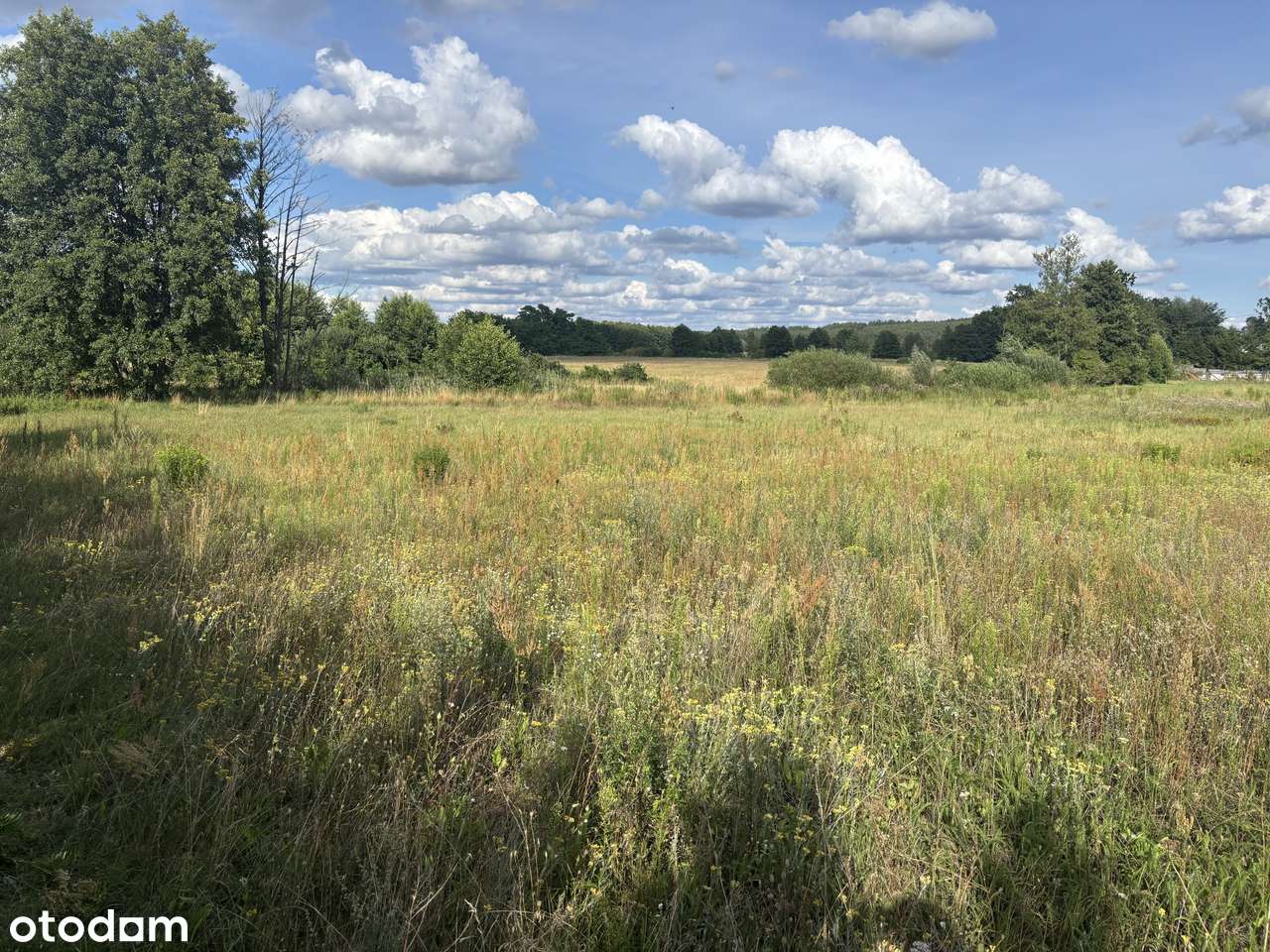 Działka Silna - Pełny obrazek: 4/6