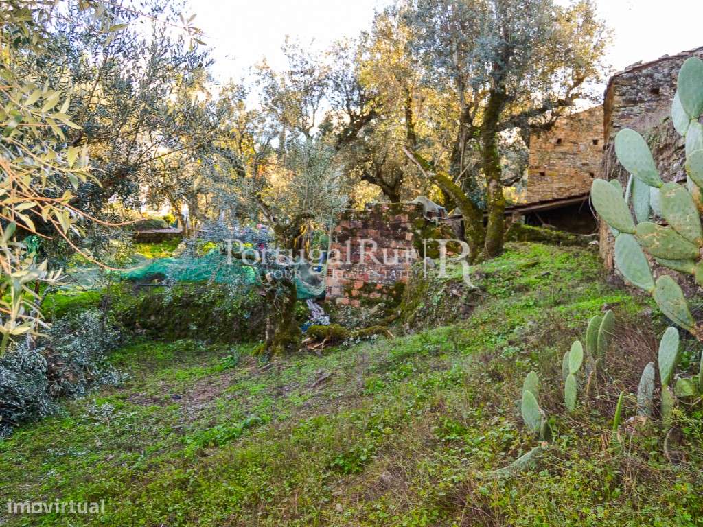 Casa Rústica com quintal e anexo para recuperar em Proença-a-Nova - Grande imagem: 4/57