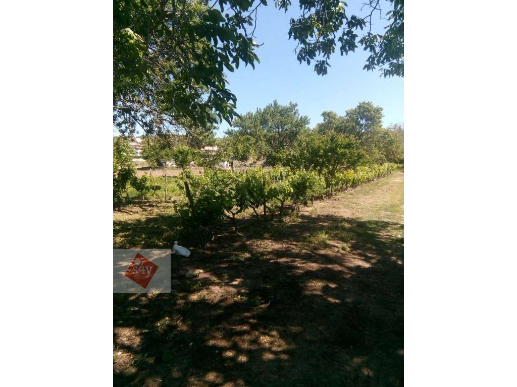 Terreno com 4.400m2 na Quinta do Anjo - Grande imagem: 2/4