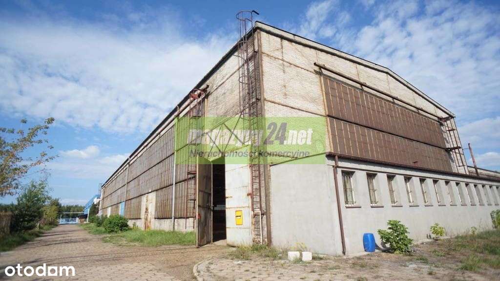 magazyn do wynajecia 2000 m2 Skierniewice - Pełny obrazek: 5/14