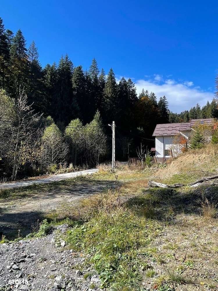 Teren intravilan Predeal - Imagine principală: 2/9