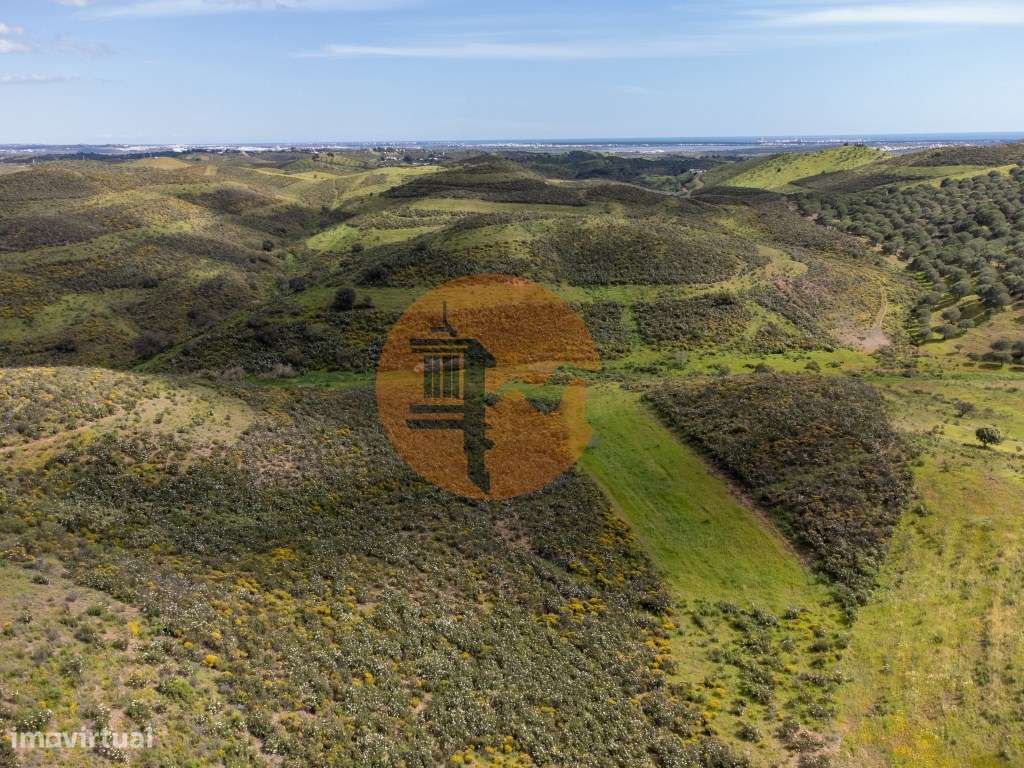 Terreno Rústico para Venda em Botelhas - Castro Marim - Grande imagem: 2/30