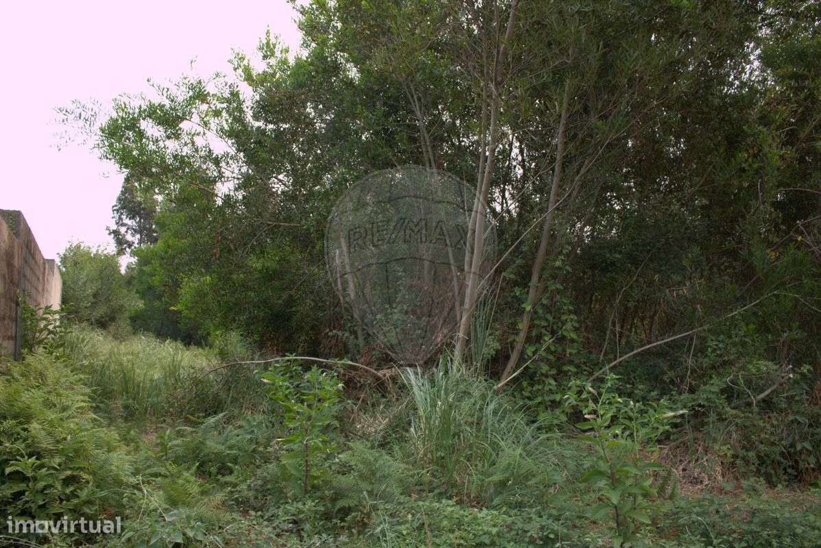 Terreno  para venda - Grande imagem: 3/5