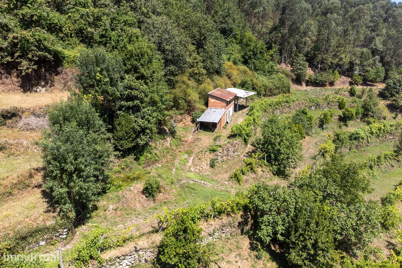 Terreno Agrícola à Venda em Seramil, Amares - Grande imagem: 5/28