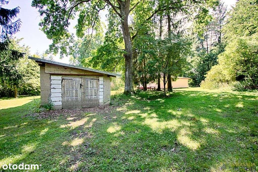 ***Leśniczówka Na Końcu Świata***Las*Podlasie - Pełny obrazek: 5/20