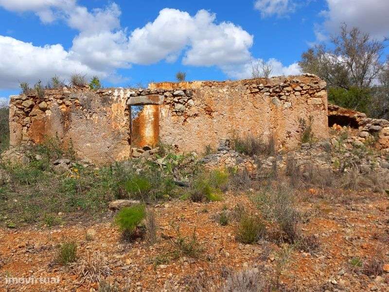 Terreno  com ruina 13.800 m² - Grande imagem: 4/4