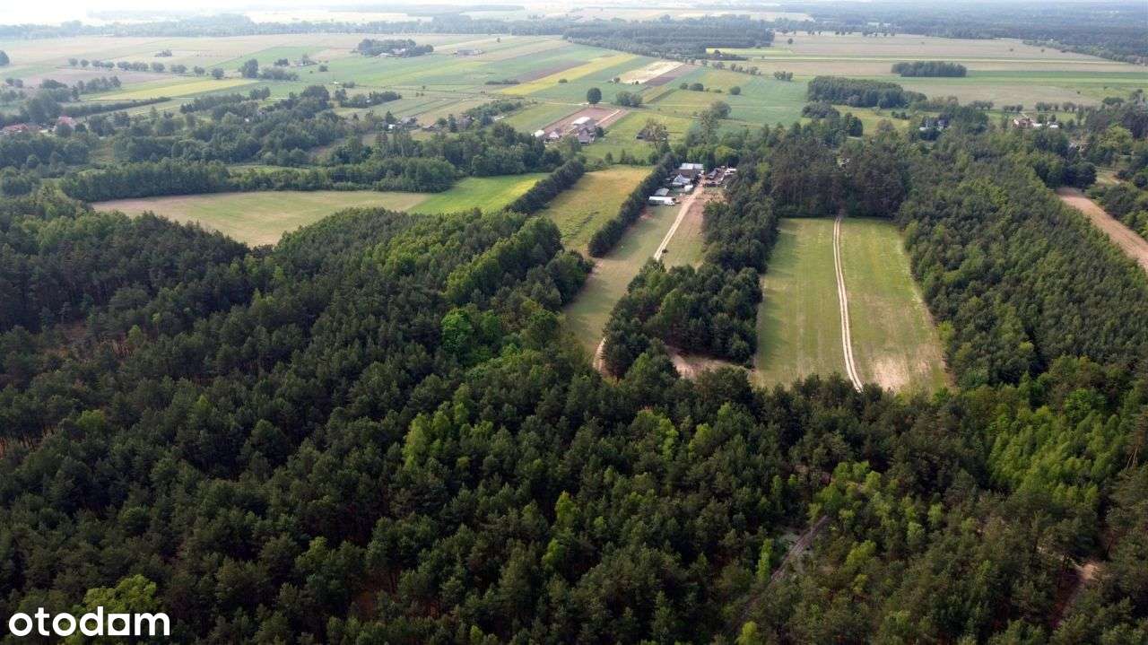 Piękna częściowo zadrzewiona działka rolna. - Pełny obrazek: 5/6