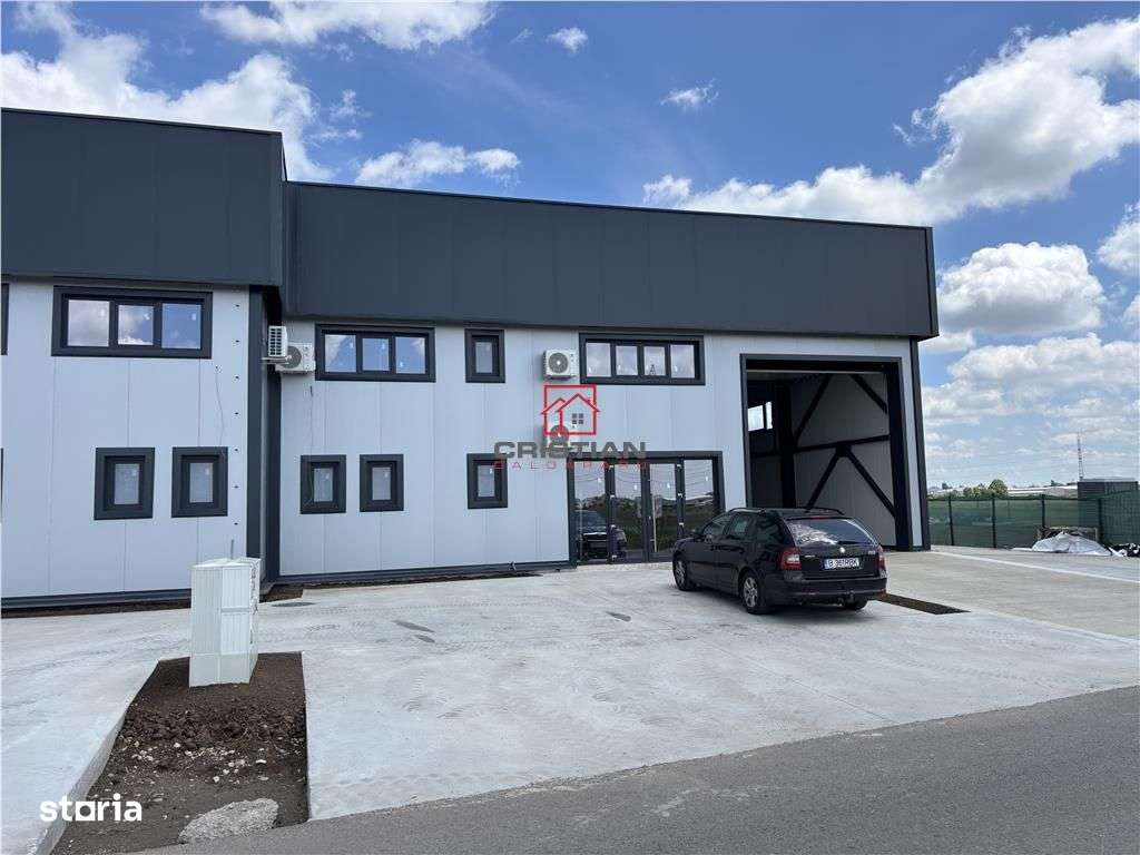 Vanzare depozithalaspatiu industrial Domnesti - Centura, Ilfov - Imagine principală: 4/20