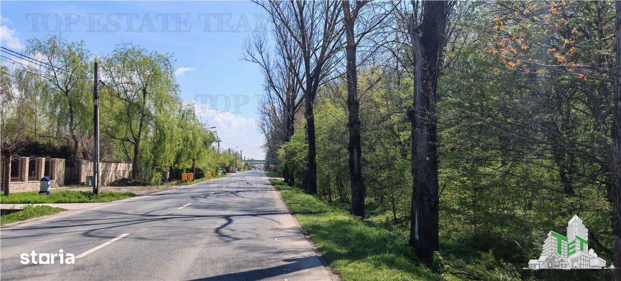 Teren constructii, 650 mp, langa padure, apa, gaze, curent, zona Cioro - Imagine principală: 1/5