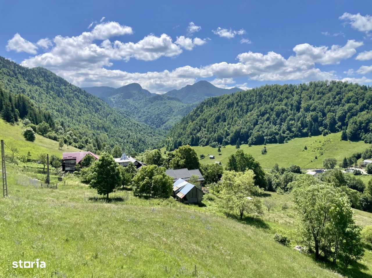 Vanzare teren 12.000 mp cu vedere panoramica Dambovicioara