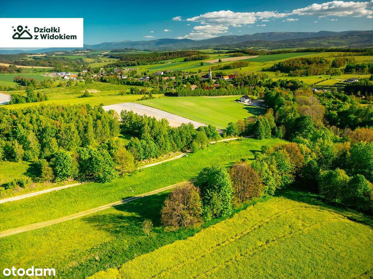 Pasiecznik - działka budowlana 10 min od Jeleniej Góry! - Pełny obrazek: 4/6