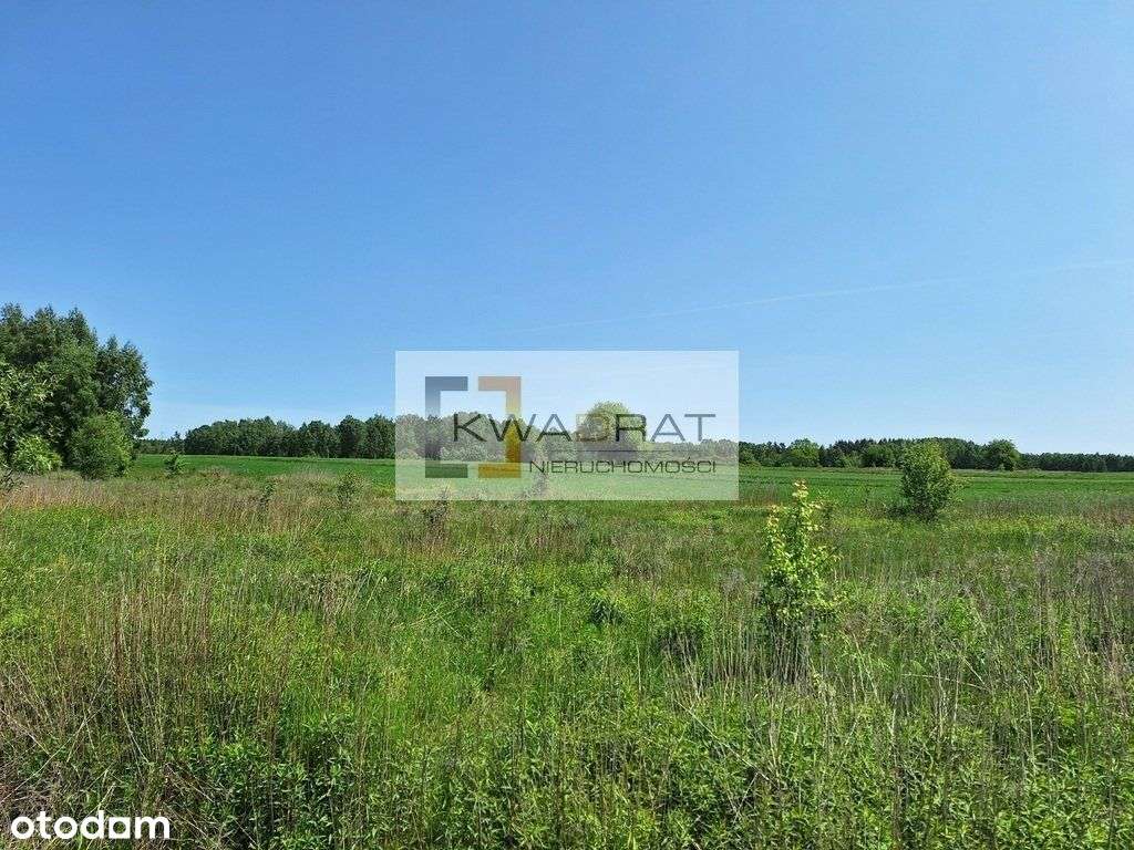 Działki w Przytoce gmina Kałuszyn - Pełny obrazek: 4/6