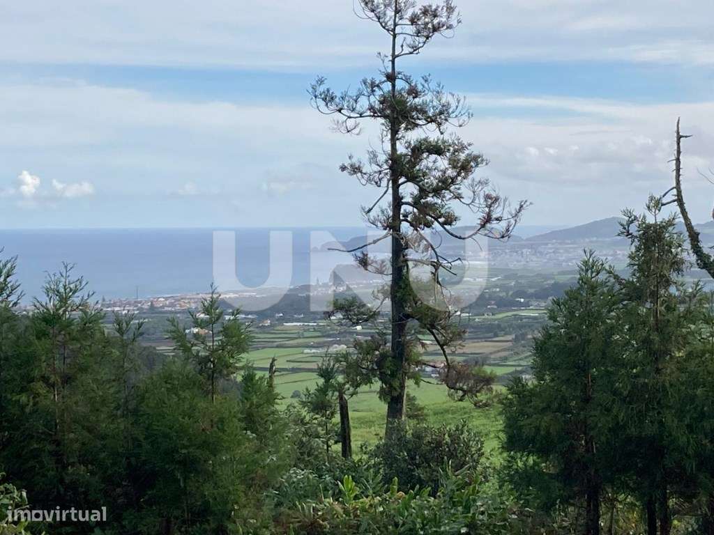 Terreno Rústico, Pico da Pedra-13