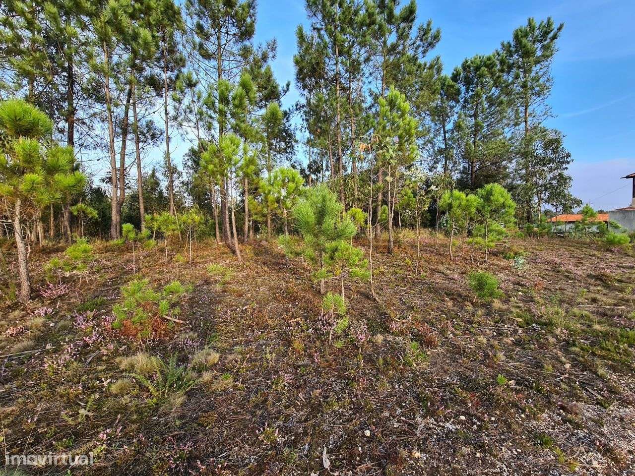 Terreno com Viabilidade de Construção de Moradias-14