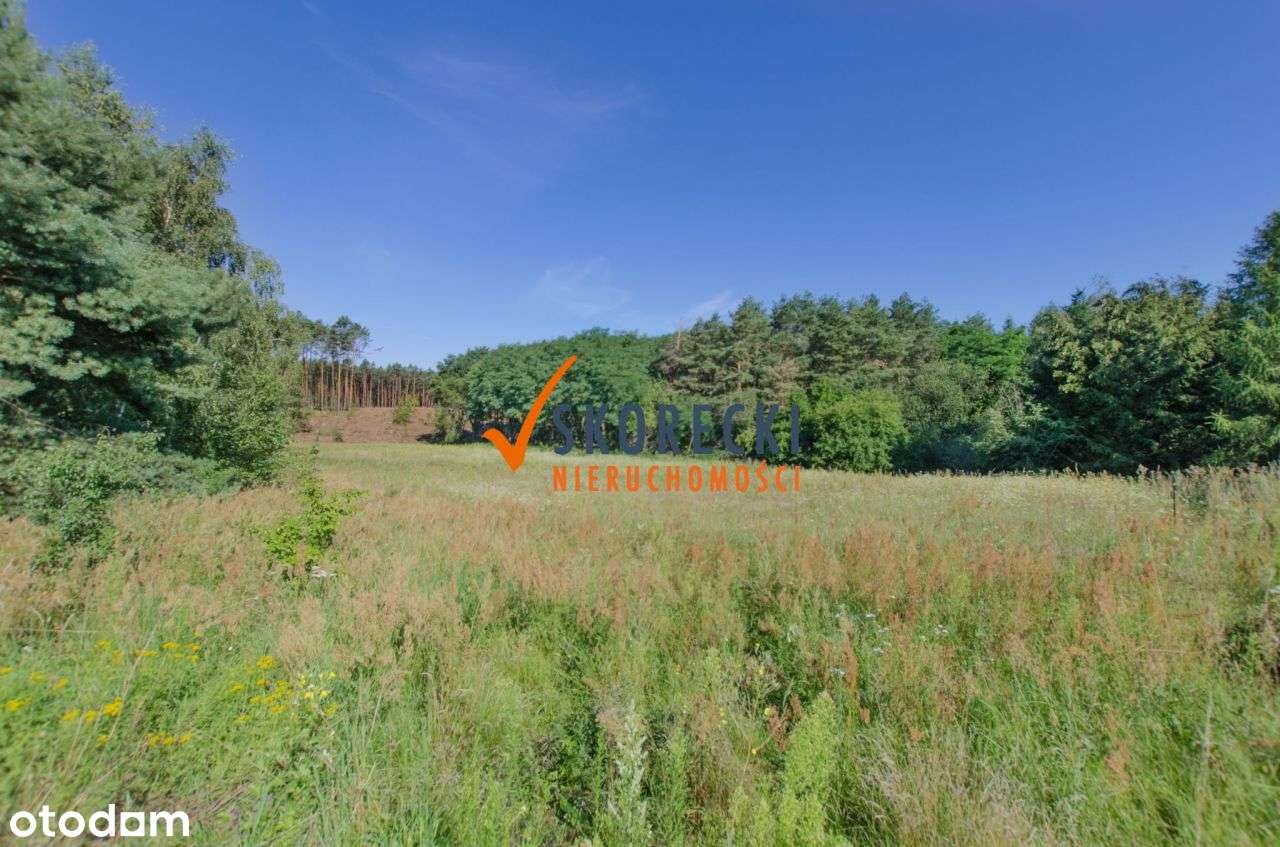 Atrakcyjna Działka Blisko j. Niesłysz! Позвони - Pełny obrazek: 4/14