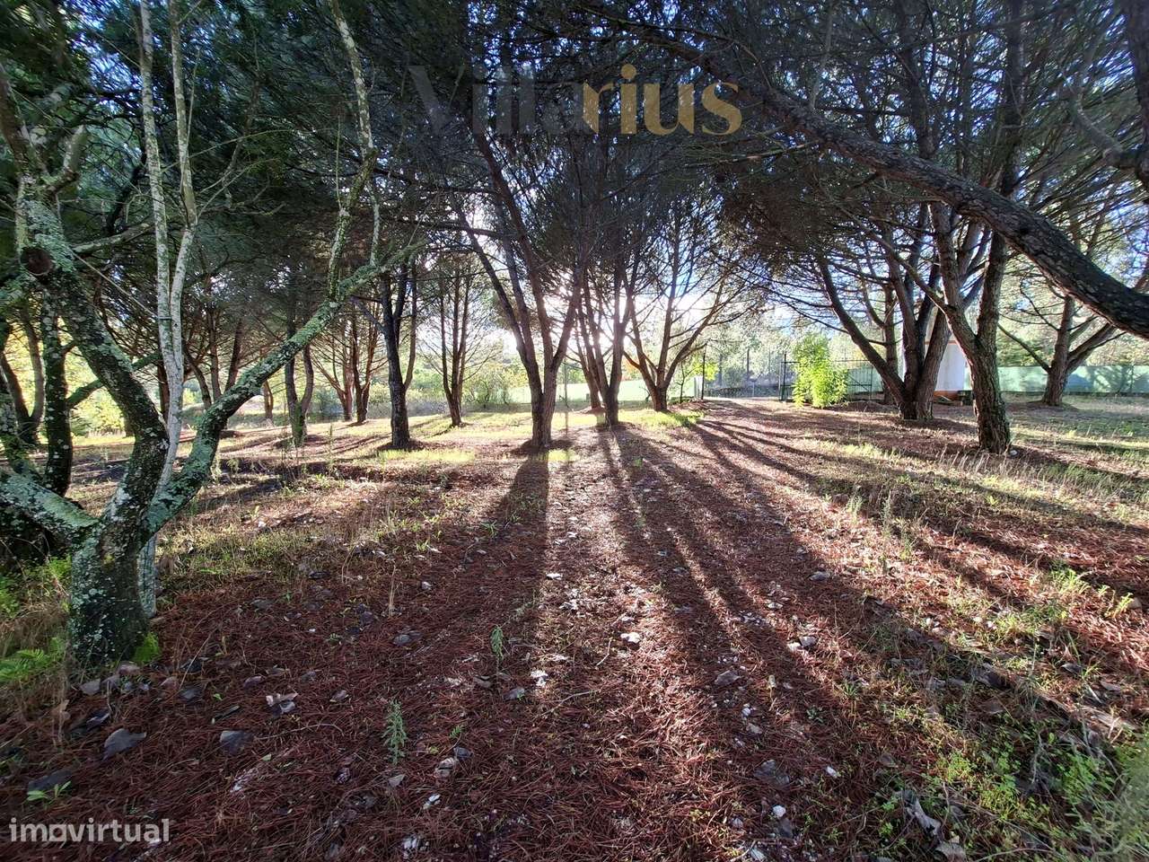 Moradia Térrea com Terreno Extenso a 3 min de Alverangel-29