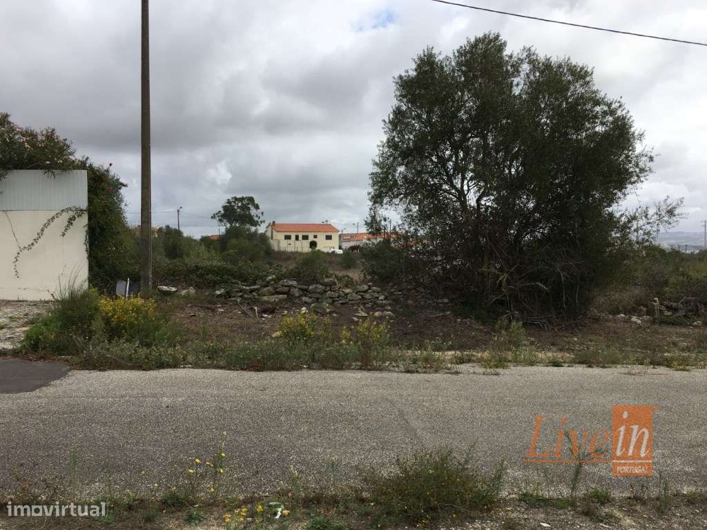 Terreno rústico com 3360m2 na Terrugem - Grande imagem: 3/6