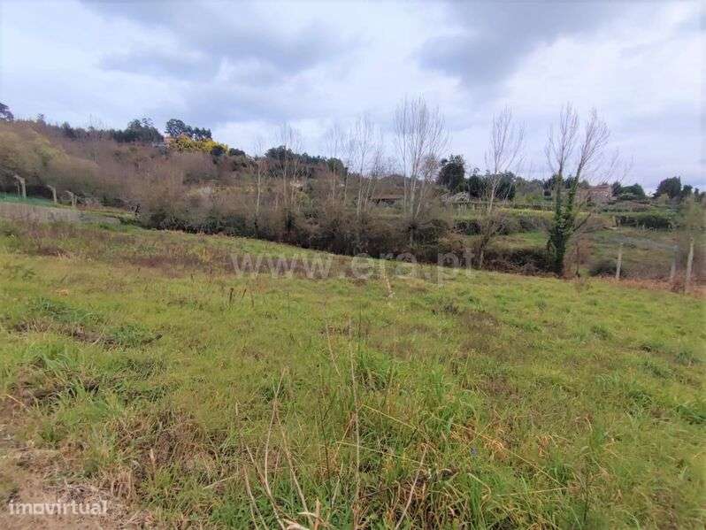 Terreno Misto / Marco de Canaveses, Sande e São Lourenço - Grande imagem: 4/6