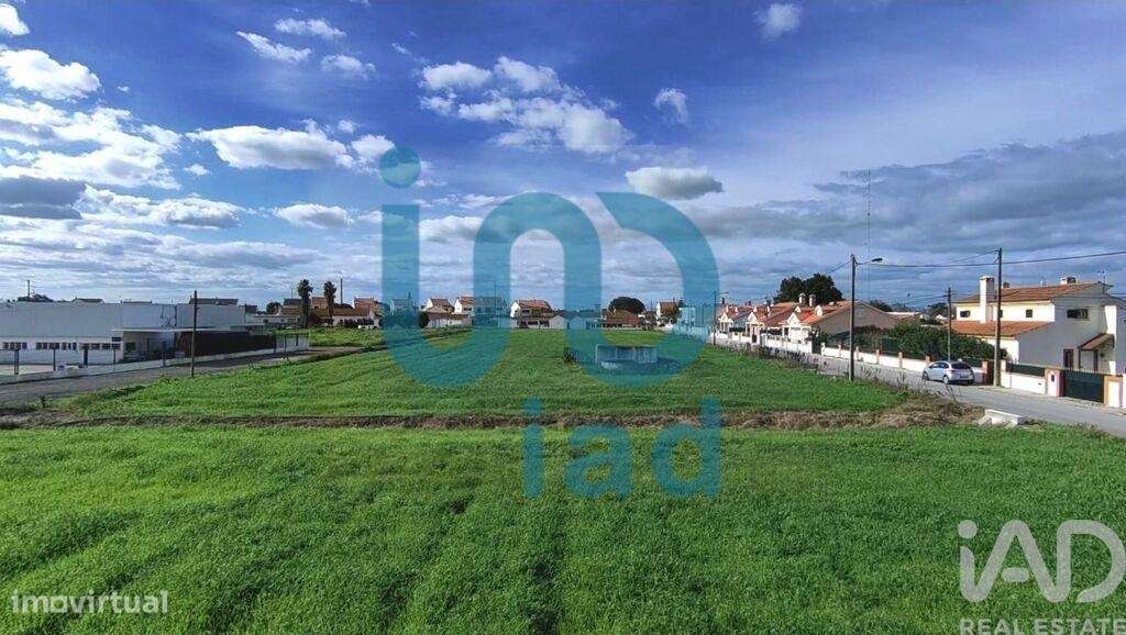 Terreno em Atalaia E Alto Estanqueiro-Jardia de 8253,00 m2 - Grande imagem: 4/6