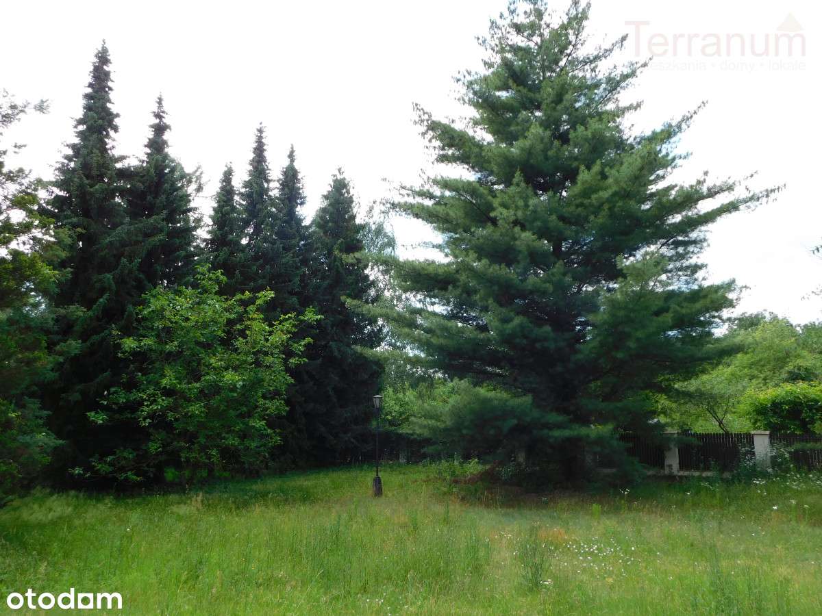 Jachranka - duża działka budowlana - Pełny obrazek: 5/6