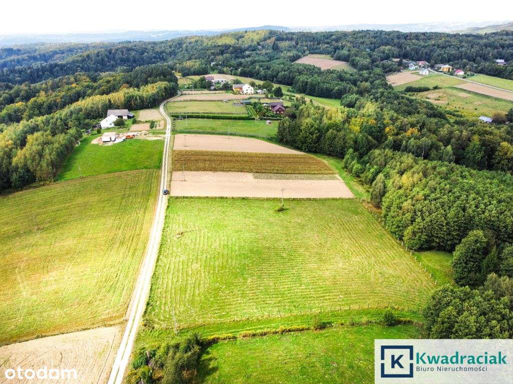 Huta Gogołowska – działki z widokiem, Wz, mediami.-3