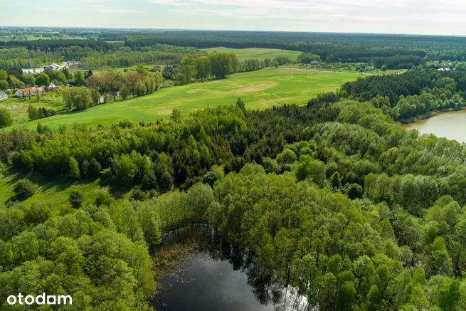 Działka z lasem przy linii brzegowej jeziora-3