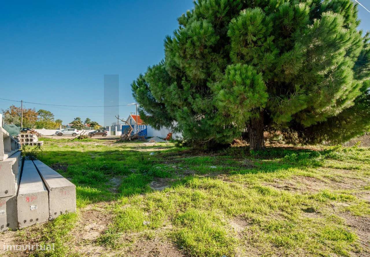 Terreno Rústico, no Pinhal das Formas, Quinta do Anjo, Palmela-2