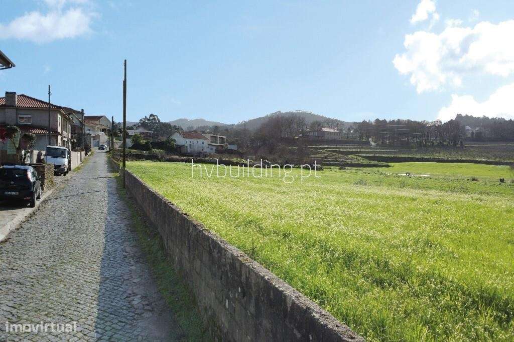 Oportunidade de investimento: Terreno em Rio Covo Sta. Eugénia-10