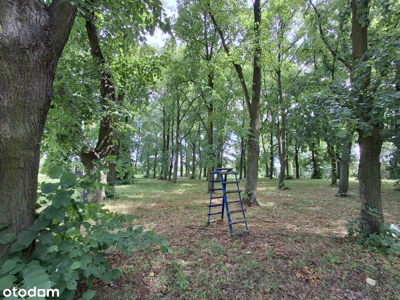 Unikalny budynek z zespołem parkowym-5