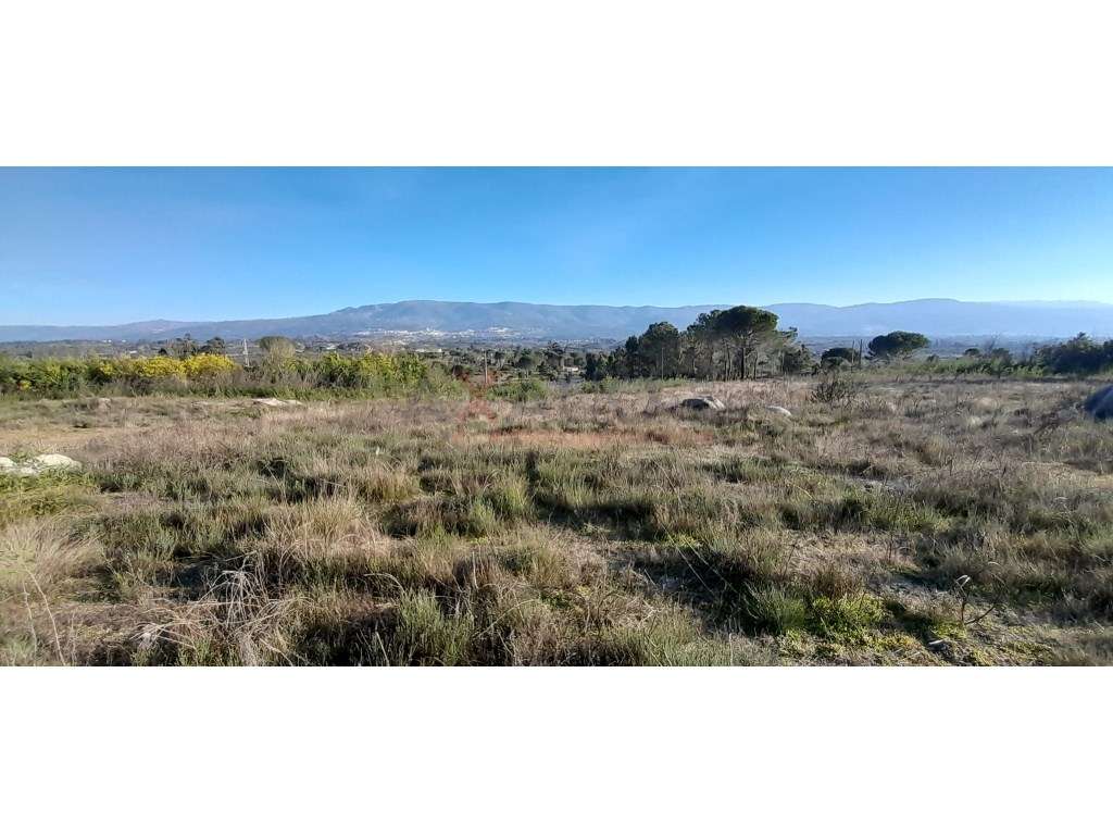 Terreno - Grande imagem: 2/8