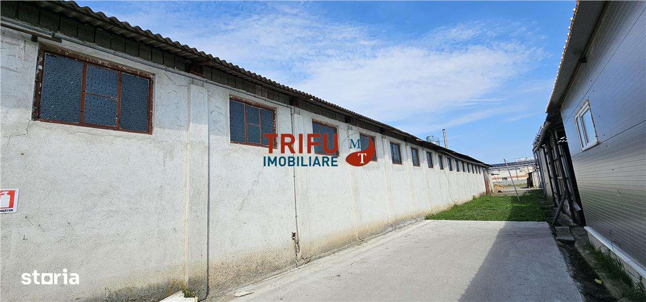 Hala de inchiriat Alba Iulia - Imagine principală: 4/8