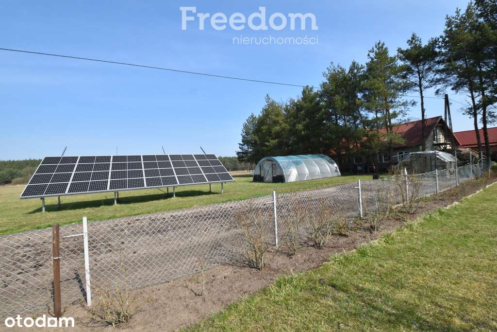 Działka 50 805 m2, 2 domy+b.gospodarczy,staw, las - Pełny obrazek: 4/20