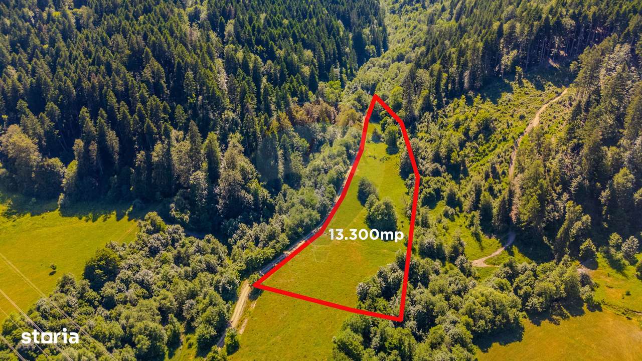 COMISION 0% Teren Brădet 7300 + 6000 mp/ Sacele /Intravilan - Imagine principală: 5/9