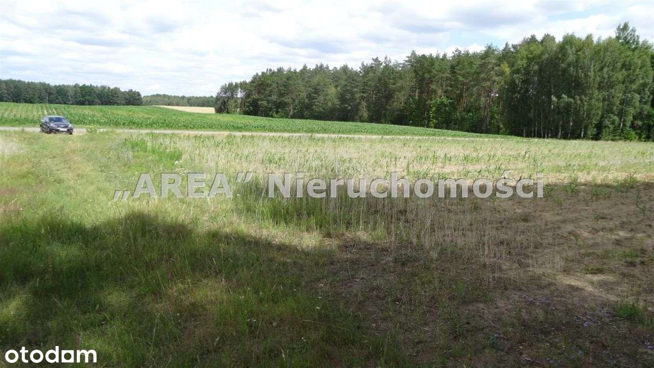 Bliskość Lasu, Pięknie Położona - Pełny obrazek: 4/20