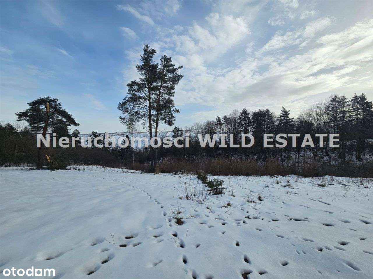 Działka, 1 015 m², Czarna Dolna-2