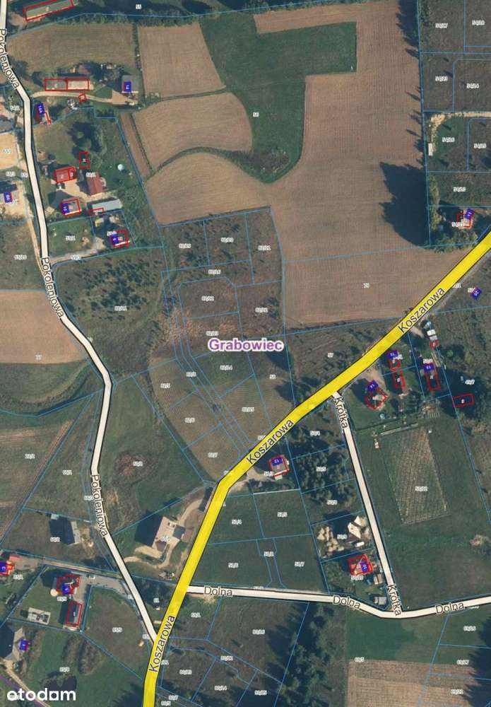 Działki Grabowiec gm.Szemud z wydanymi WZ-4