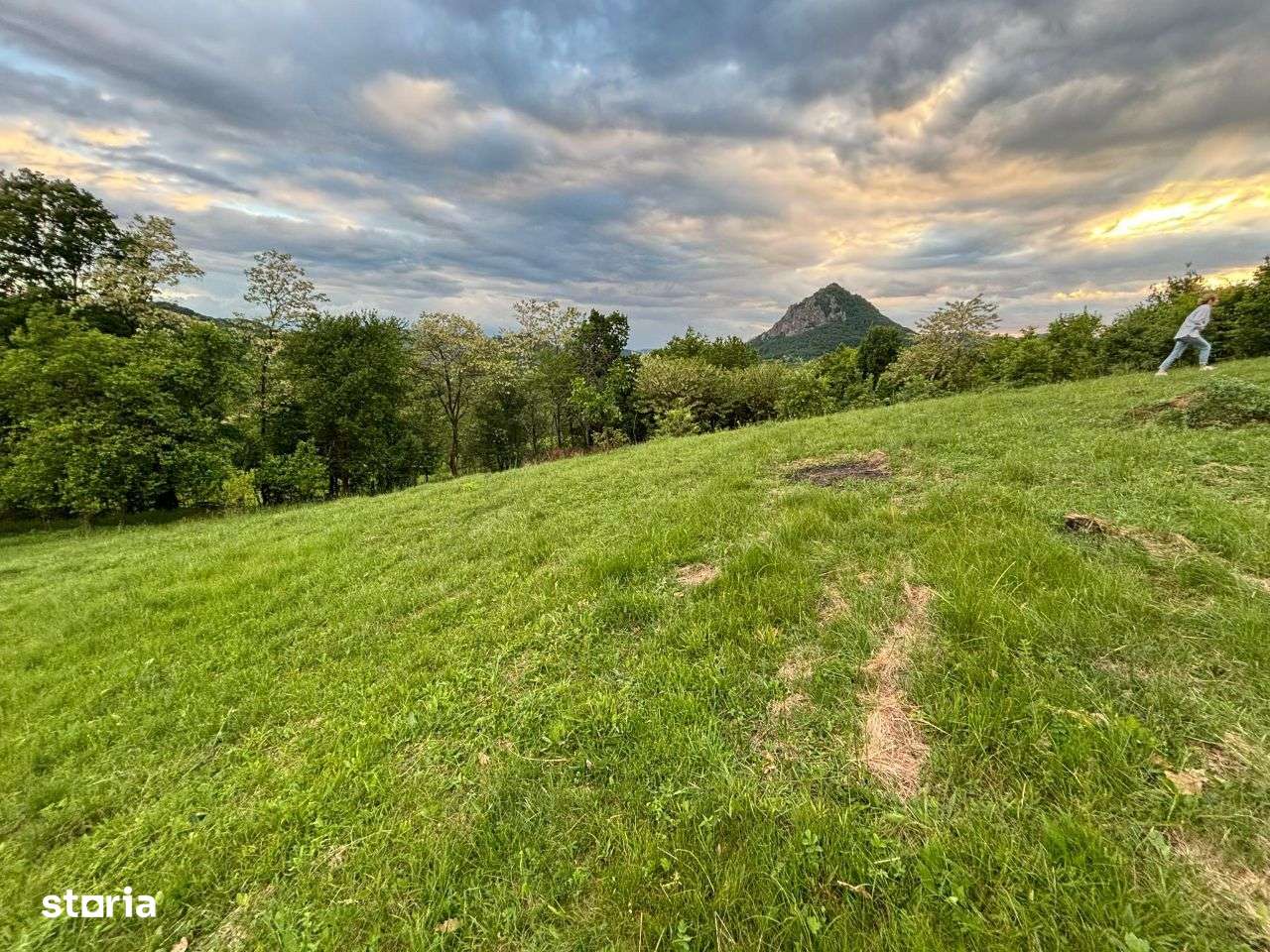 Teren si padure de vanzare in sat Hartagani, comuna Baita - Imagine principală: 5/18
