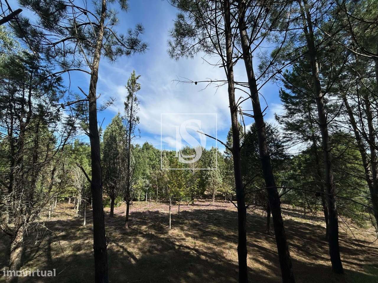 Quinta com 16500m2-55