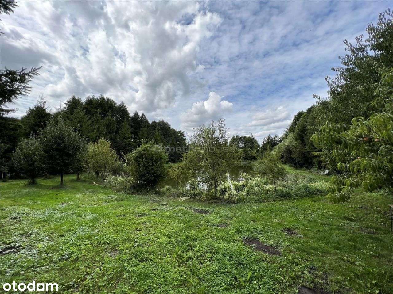 Dom całoroczny, na dużej działce ze stawem rybnym - Pełny obrazek: 5/14