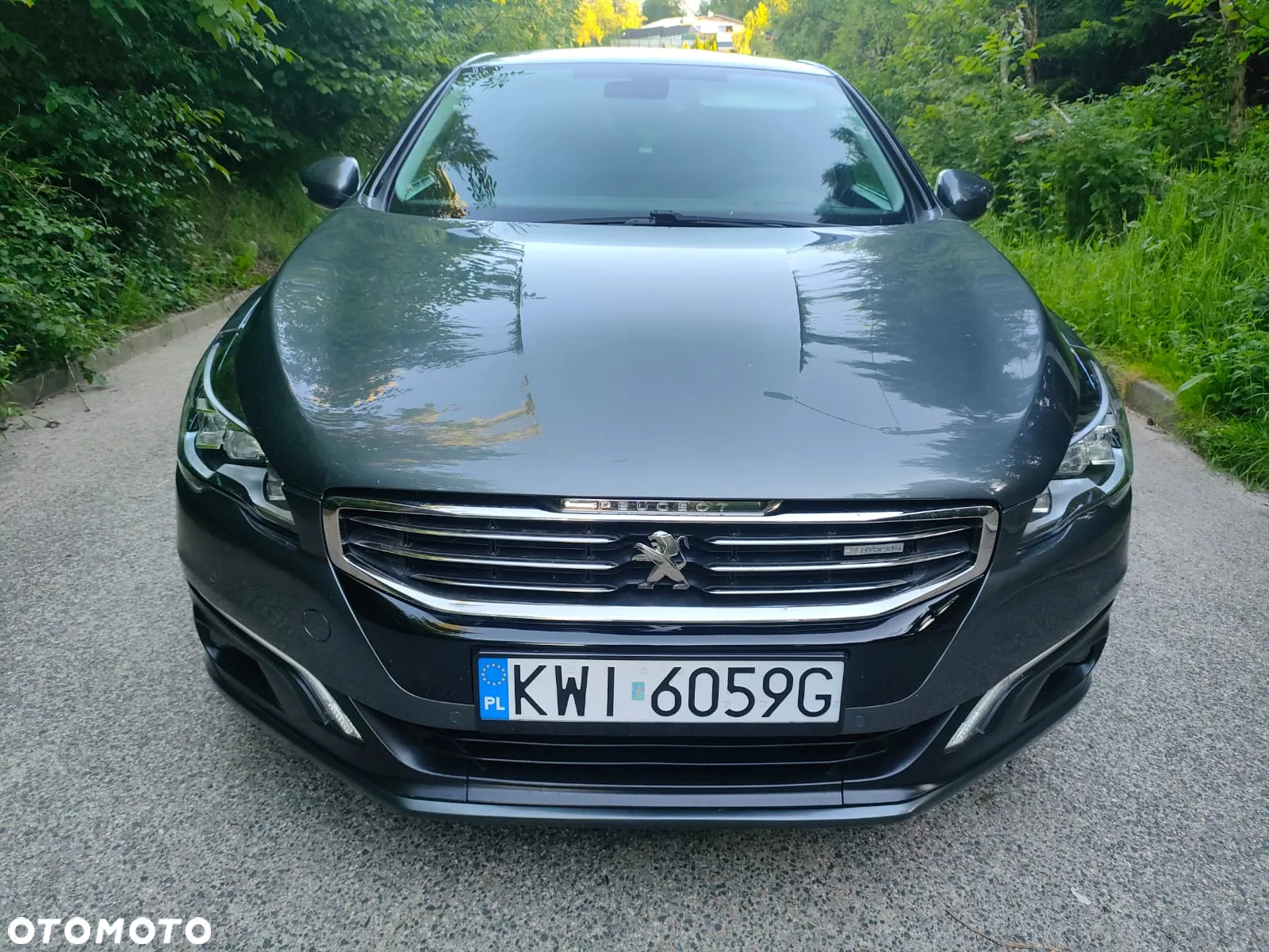 Peugeot 508 RXH Hybrid Business-Line - 13