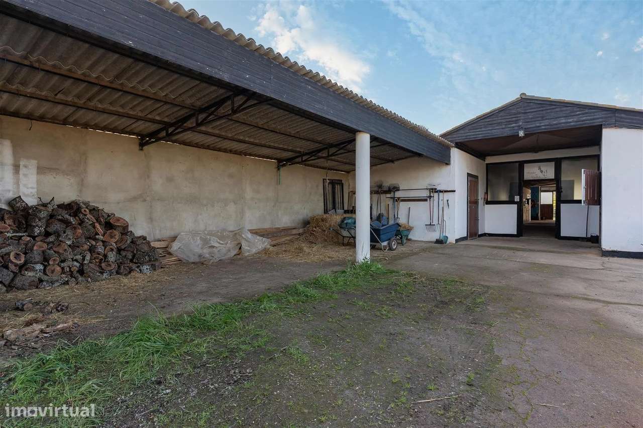 Propriedade privada - Centro Equestre - Grande imagem: 5/22