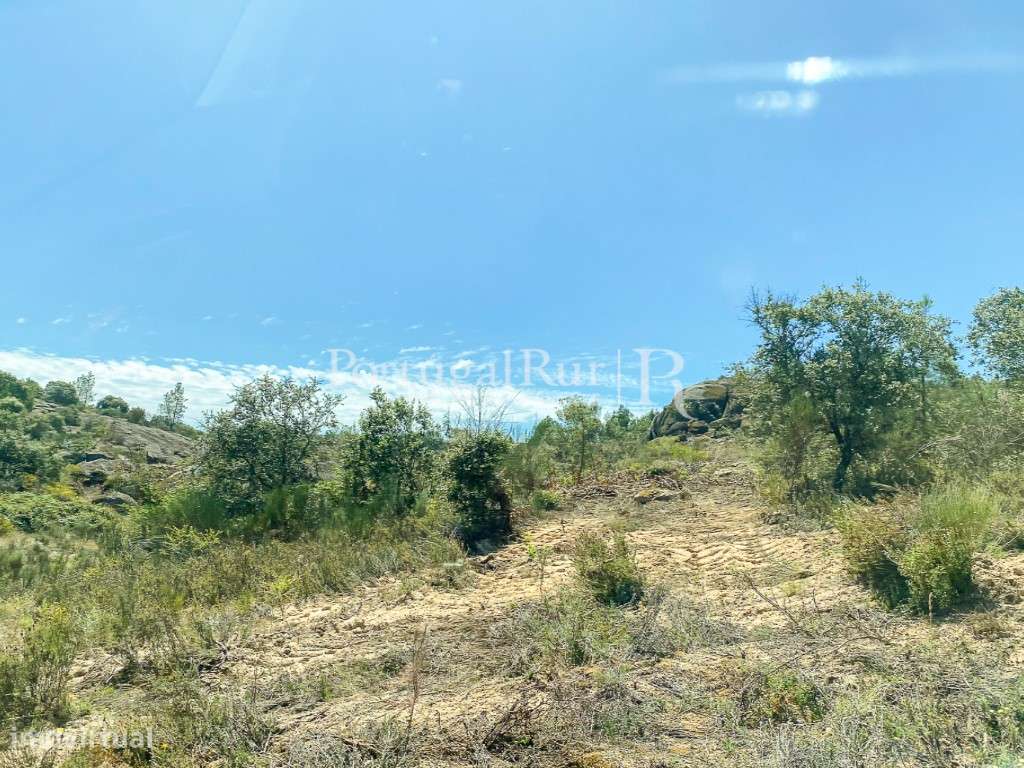 Herdade com 108 hectares em Idanha-a-Nova - Grande imagem: 5/14