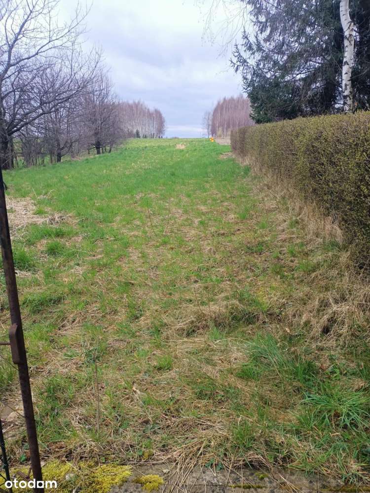 Na sprzedaż działki z WZ.  Ciekawa oferta dla dewelopera. - Pełny obrazek: 4/4