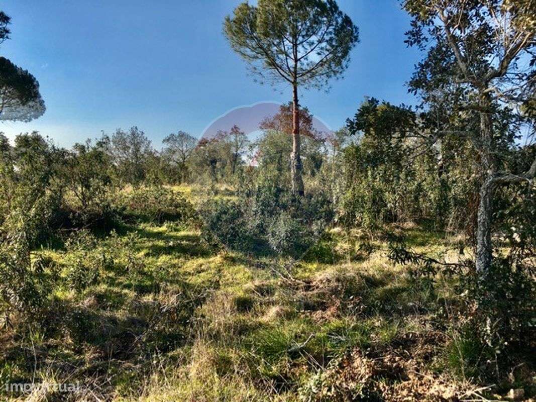 Terreno  para venda - Grande imagem: 5/14