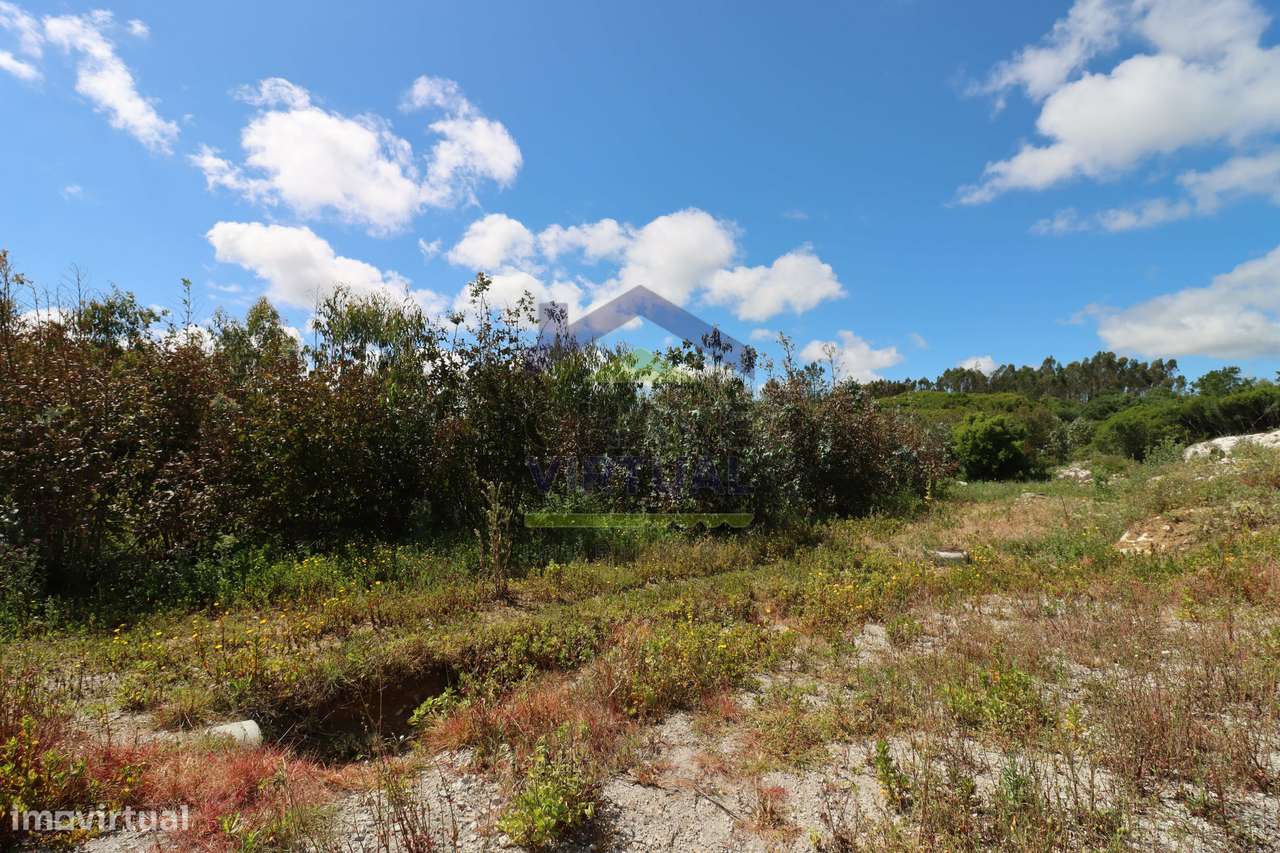 Terreno Rústico c/ 16.520 m2 Reguengo Pequeno - Lourinhã-13