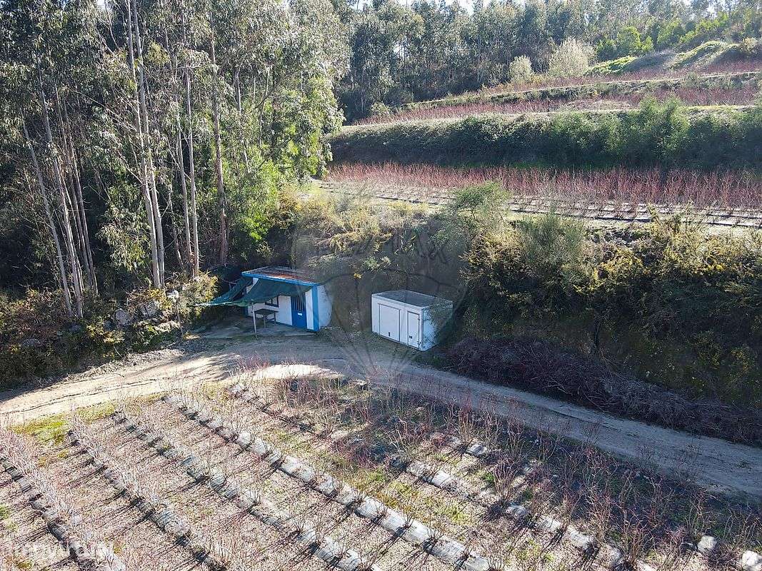 Terreno  para venda - Grande imagem: 5/16