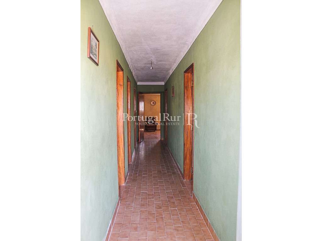 Casa Rústica com pequeno quintal e anexo - São Pedro do Esteval-7